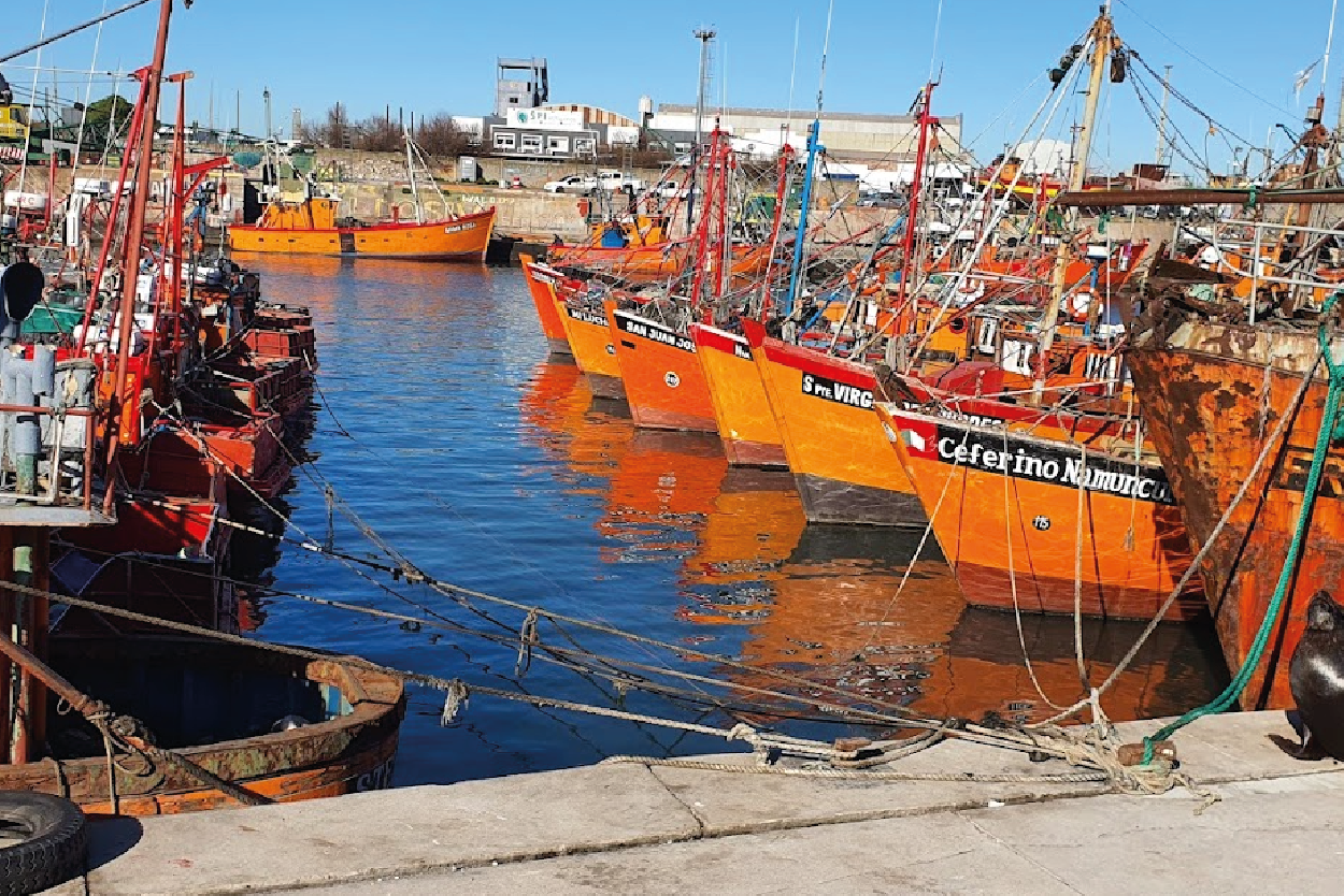imagen puerto de Mar del Plata